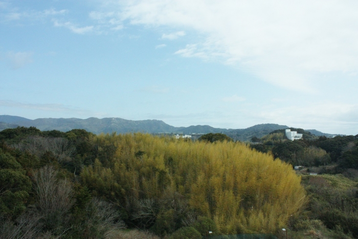 奥浜名湖